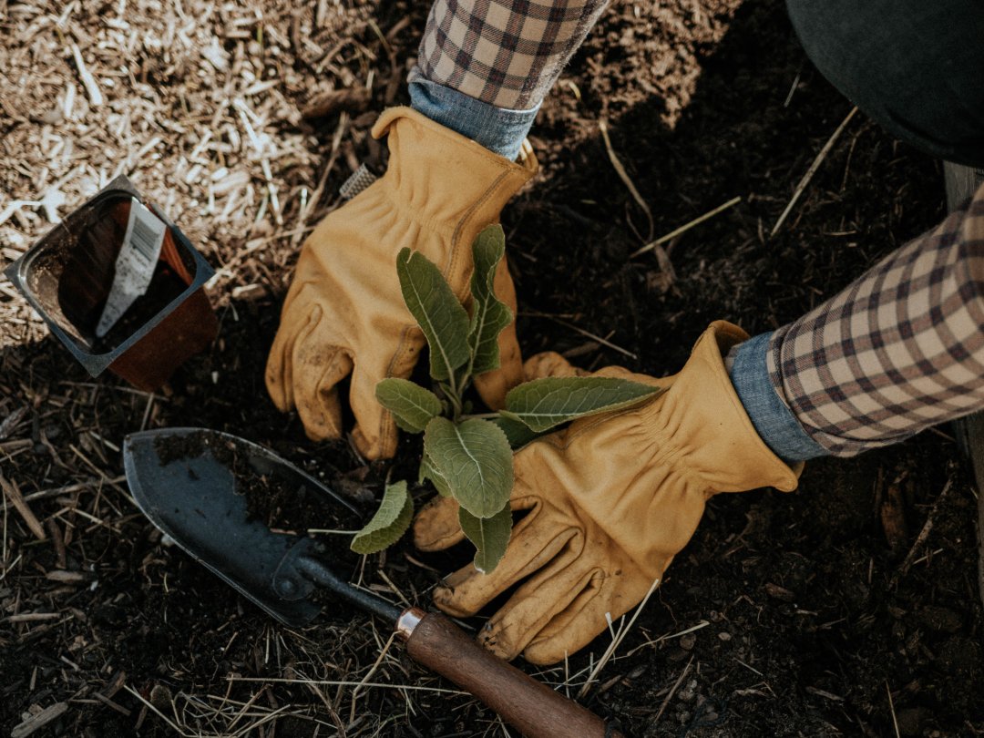 Curated image with Spade Hand Trowel, Classic Work Glove