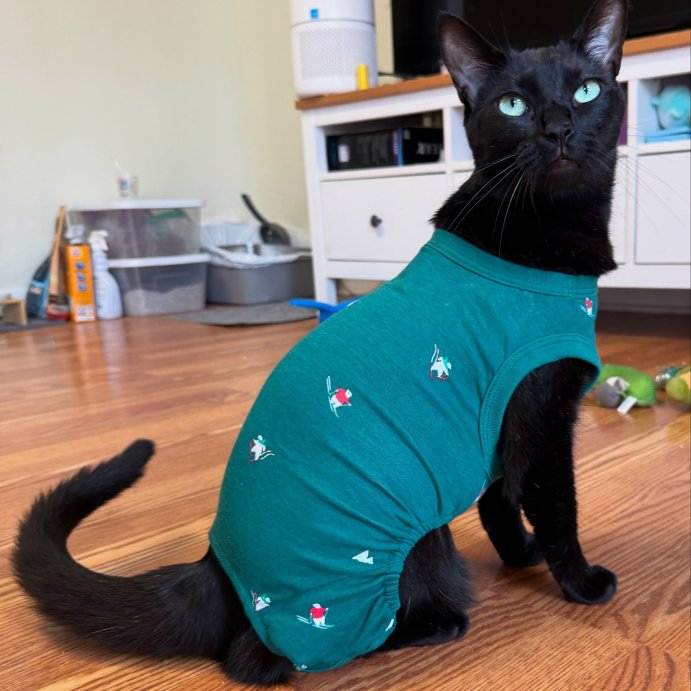 user image by @titolovescheese, Polar Bear Print Jersey Holiday Matching Family Dog and Cat Pajamas - Wondershop™ Green
