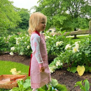 Williams Sonoma Bay Stripe Adult & Kid Aprons | Apron Set