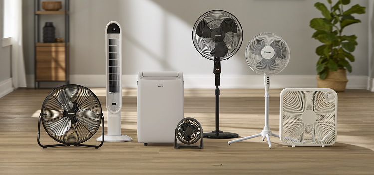 Shop Mastercraft Vertical-Tilt Portable Floor Fan, 3-Speed, Black, 20-in, NOMA Oscillating Tower Fan, Remote Control, 3-Speed, White, 45-in, NOMA 7K SACC (10K ASHRAE) Digital Portable Air Conditioner with Remote Control, 3-Speed, White, Honeywell TurboForce® Tilt-Head Portable Air Circulator Table/Desk Fan, 3-Speed, Black, 7-in, NOMA Oscillating Pedestal/Stand Fan with Remote Control, 3-Speed, Black, 18-in, For Living Tilt-Head Oscillating Pedestal/Stand Fan with Adjustable Height, 3-Speed, Assorted, 16-in, For Living Plastic 5-Blade Portable Box/Floor Fan, 2-Speed, White, 20-in and more