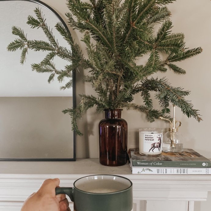 user image by @monica.marie.co, Wild at Home - by  Hilton Carter (Hardcover)
