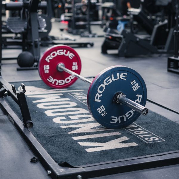 Rogue 20KG Ohio Power Bar - Stainless Steel | Rogue Fitness Canada