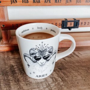 break the cup costa rica coffee Costa Rica – Wild Cup Coffee