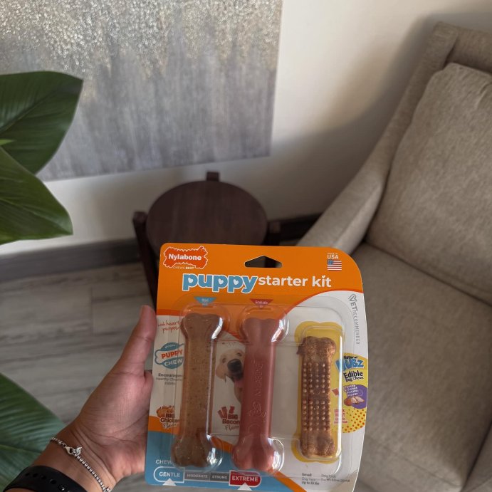 user image by @teodorosaac, Nylabone Puppy Starter Pack Dog Toy - Brown