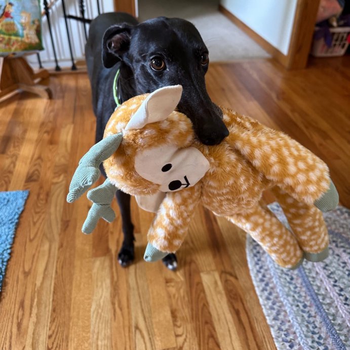 user image by @raethegrey, Deer Plush Dog Toy - L - Boots &#38; Barkley&#8482;