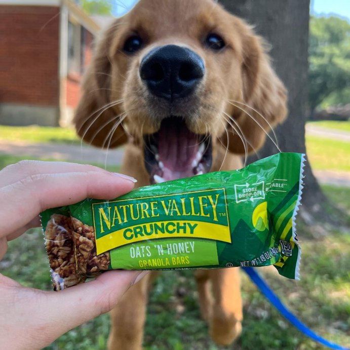 user image by @auggiegoldenboy, Nature Valley Crunchy Oats &#39;N Honey Granola Bars - 12ct/8.94oz