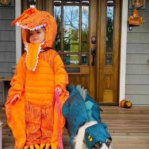 Light-Up Pterodactyl Halloween Costume