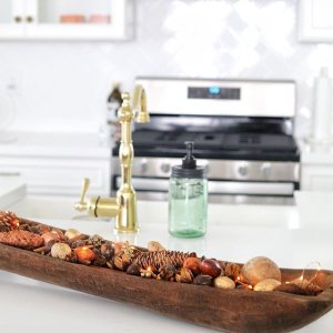 Williams Sonoma Spiced Chestnut Potpourri