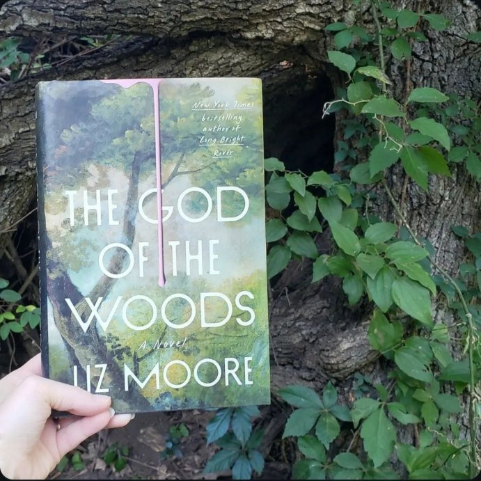 user image by @eyre_i_breathe, The God of the Woods - by  Liz Moore (Hardcover)