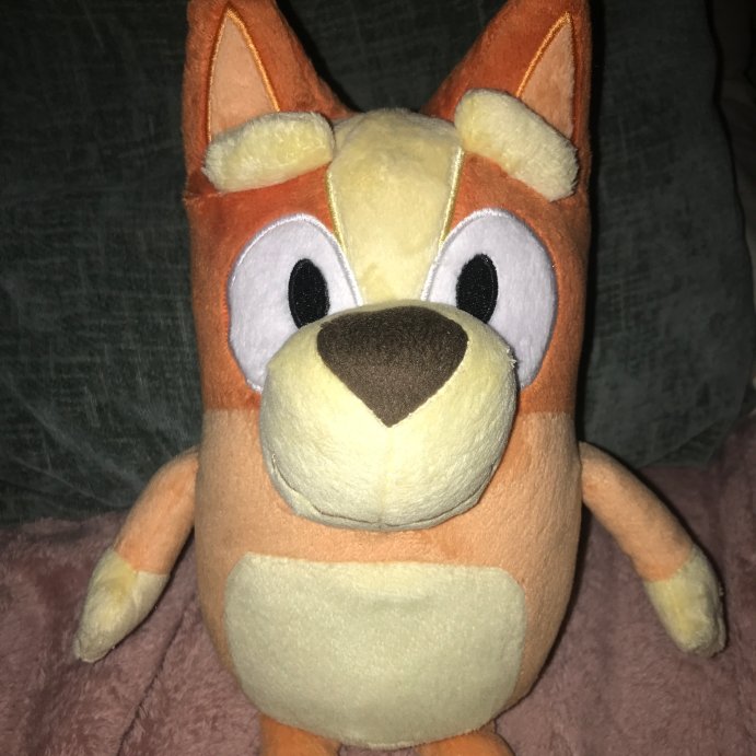 user image by Nahum, Bluey Sound Effects Talking Bingo Stuffed Plush