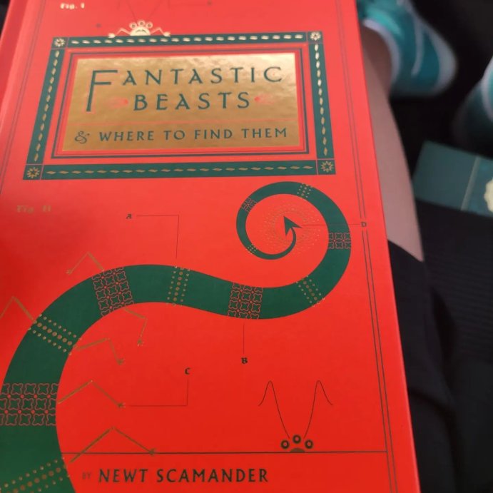 user image by @sjc.22, Fantastic Beasts & Where to Find Them (Hardcover) (Newt Scamander & J. K. Rowling)