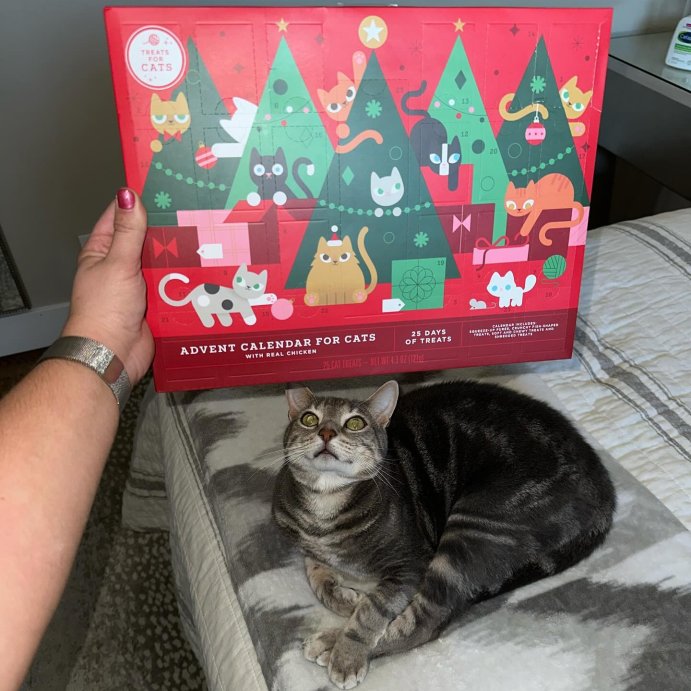 user image by @dollznjulez, 25 Day Advent Calendar Chicken Flavor Cat Treat - Wondershop&#8482; 4.3oz