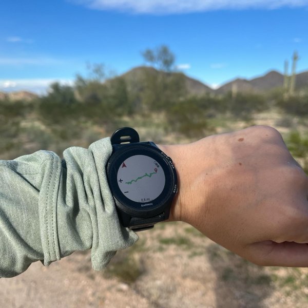 Garmin Forerunner 55 REI Co-op