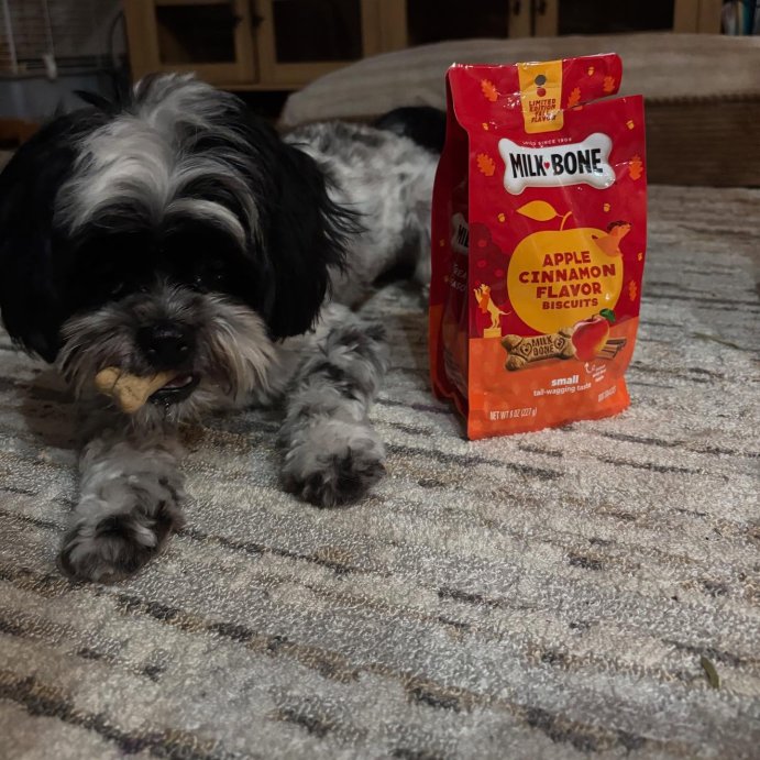 user image by @ladywarrior1024, Milk-Bone Halloween Apple and Cinnamon Flavor Dog Treats - 8oz