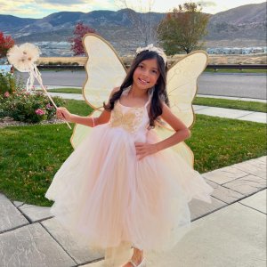 Lavender Butterfly Fairy Halloween Costume