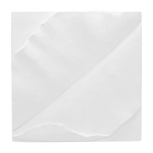 Shop Carreau mural feuille Tropica blanc and more