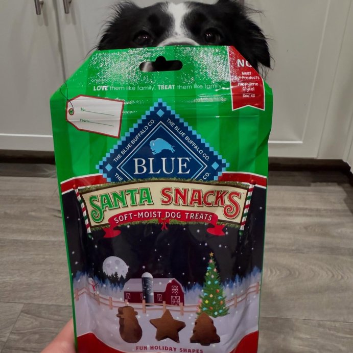 user image by @adognamedxenia, Blue Buffalo Santa Snacks Tasty Chicken Recipe Soft Dog Treats - 4.5oz