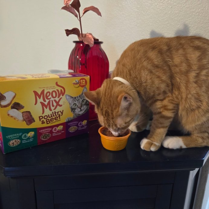 user image by @dookie_brown_bell, Meow Mix Tender Favorites Liver Turkey Chicken and Beef Flavor Wet Cat Food - 33oz