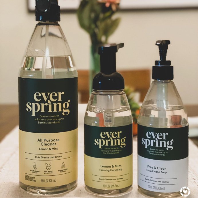 user image by @prettyplates20, Lemon &#38; Mint All Purpose Cleaner - 28 fl oz - Everspring&#8482;