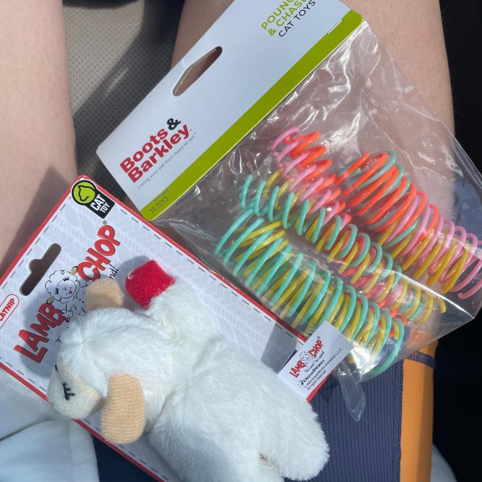 user image by @onyxthemaniac, Multipet 10.5&#34; Lamb Chop Interactive Plush Dog Toy