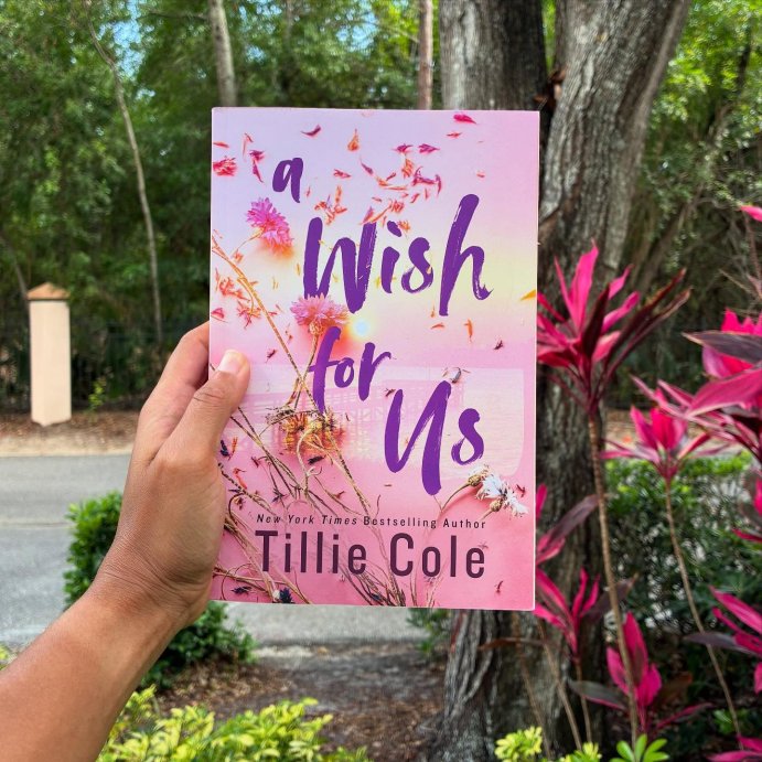 user image by @jandcreadbooks, A Wish for Us (Deluxe Edition) - by Tillie Cole (Paperback)