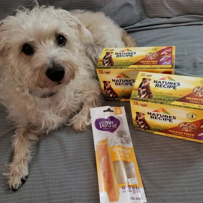 user image by @linusbubz808, Nature&#39;s Recipe Grain-Free Chicken, Beef, Turkey &#38; Lamb Wet Dog Food - 2.75oz/12ct Variety Pack