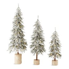 Shop CANVAS Pre-Lit Flocked Downswept Potted Trees, 3-pk and more