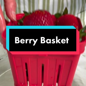 Strawberry Slicer – The Convenient Kitchen