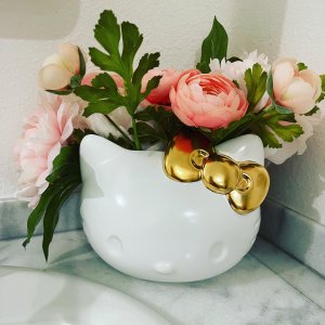 Hello Kitty Planter Ceramic Pot | Pottery Barn Teen