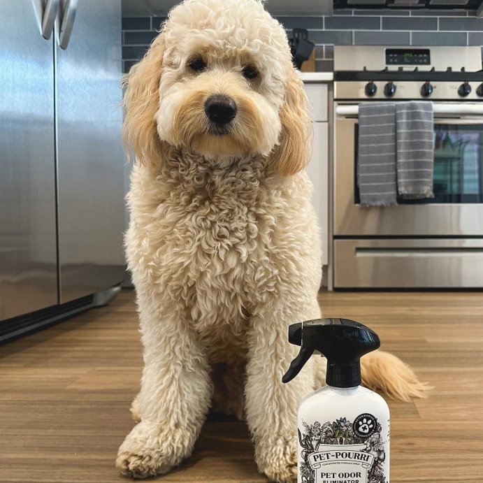user image by @preetiikumarr, Poo-Pourri Pet Odor Refresher Pawsitivly Fresh Scented Air Freshener - 16 fl oz