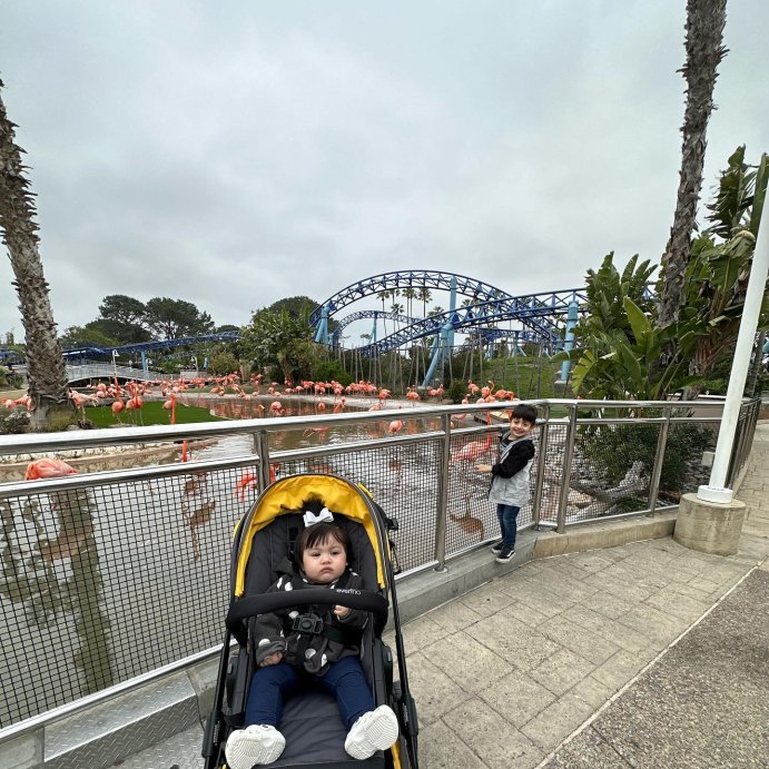 user image by @rosa.velazquez96, Evenflo Pivot Xplore All-Terrain Double Stroller Wagon