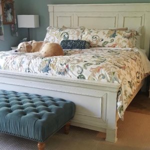 Claudia Organic Cotton Duvet Cover Shams Pottery Barn