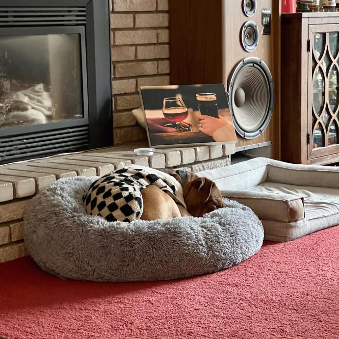 user image by @angusandjarvis2, Super Plush Cuddler Round Dog Bed - Gray - Boots & Barkley™