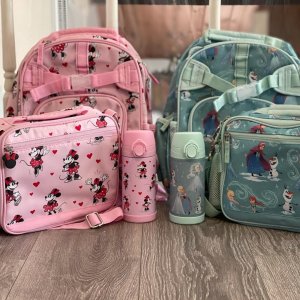 Pottery barn outlet frozen backpack