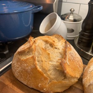 Lodge 5 Quart Dutch Oven – rosehill sourdough