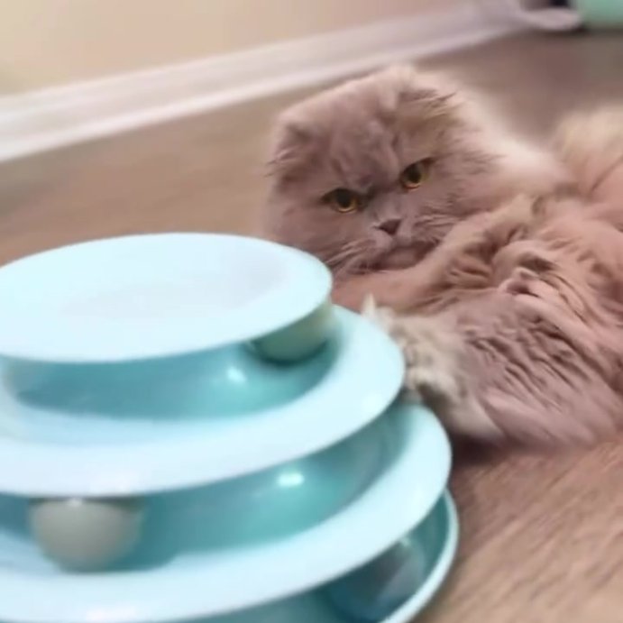 user image by @sweetlifeofsin, 3 Layer Trackball Interactive Cat Toy - Boots &#38; Barkley&#8482; - Blue