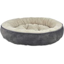 Shop Lit rond texturé pour chats Petco, rebords renforc and more