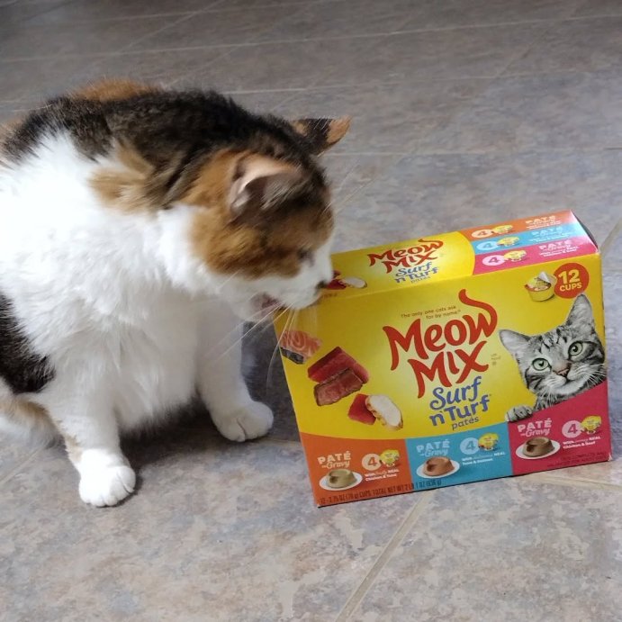 user image by @ashley.marie.603, Meow Mix Surf n Turf Tuna Salmon and Chicken Flavor Wet Cat Food - 33oz