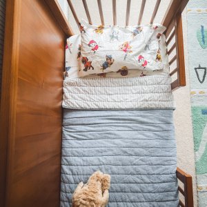 <i>PAW Patrol™</i> Organic Toddler Sheet Set