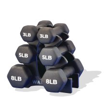 Shop WA:KE Athletic Neoprene Dumbbell Set with Rack, 32-lb and more