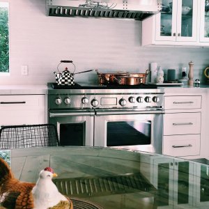 User generated image 0