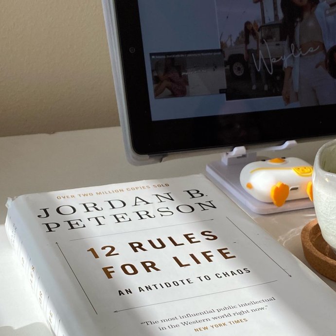 user image by @bruindiaries, 12 Rules for Life : An Antidote to Chaos -  by Jordan B. Peterson (Hardcover)