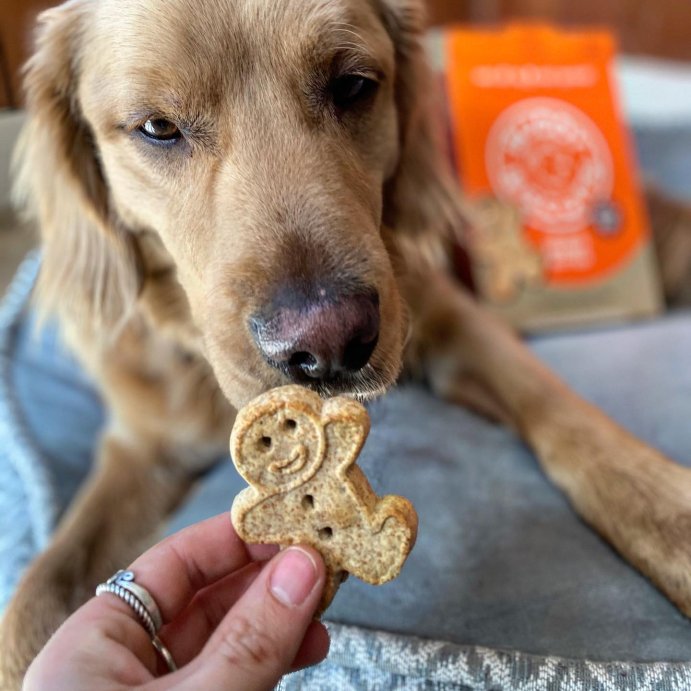 user image by @buddyboysohandsom3, Buddy Biscuits Oven Baked Crunchy Peanut Butter Dog Treats