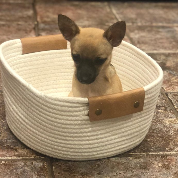user image by @_princess.sadie, 13&#34; Decorative Coiled Rope Square Base Tapered Basket Small Cream - Brightroom&#8482;