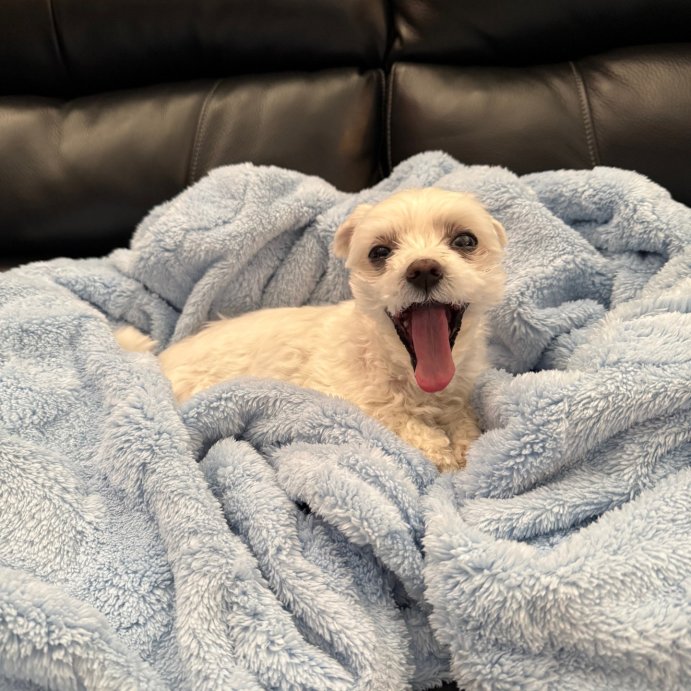 user image by @kimb_reviews, Wavy Jacquard Plush Blanket - Room Essentials™