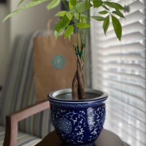 User generated image 3