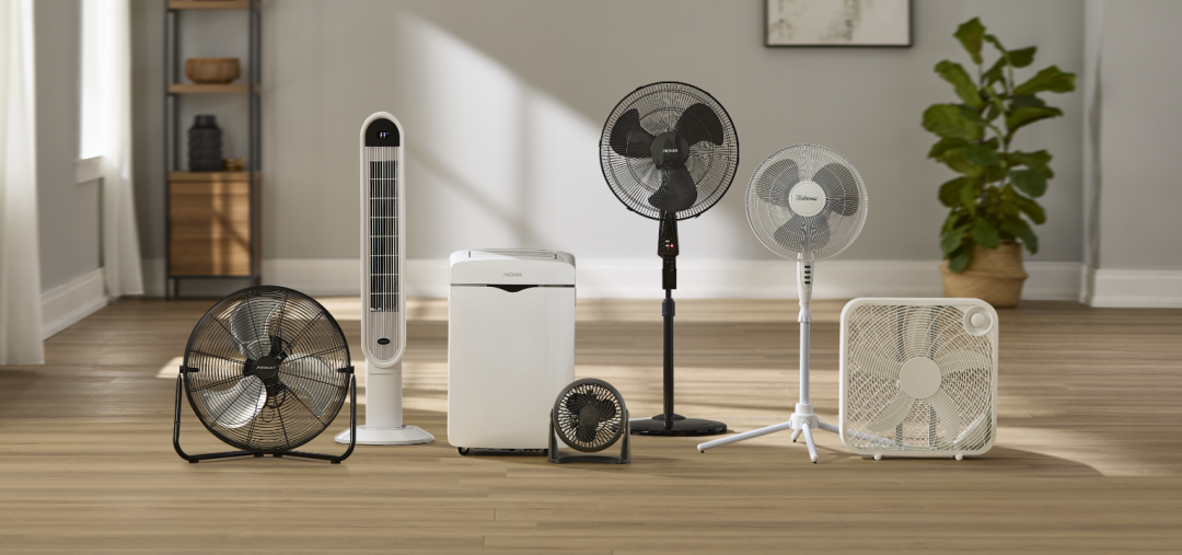 Shop Mastercraft Vertical-Tilt Portable Floor Fan, 3-Speed, Black, 20-in, NOMA Oscillating Tower Fan, Remote Control, 3-Speed, White, 45-in, NOMA 7K SACC (10K ASHRAE) Digital Portable Air Conditioner with Remote Control, 3-Speed, White, Honeywell TurboForce® Tilt-Head Portable Air Circulator Table/Desk Fan, 3-Speed, Black, 7-in, NOMA Oscillating Pedestal/Stand Fan with Remote Control, 3-Speed, Black, 18-in, For Living Tilt-Head Oscillating Pedestal/Stand Fan with Adjustable Height, 3-Speed, Assorted, 16-in, For Living Plastic 5-Blade Portable Box/Floor Fan, 2-Speed, White, 20-in and more