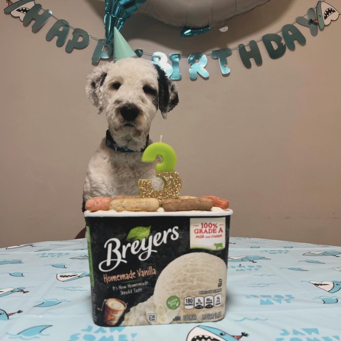 user image by @sharkadoodle_, Breyers Homemade Vanilla Ice Cream - 48oz