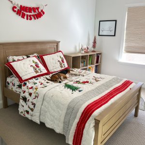 Dr. Seuss’s The Grinch™ & Max™ Sheet Set