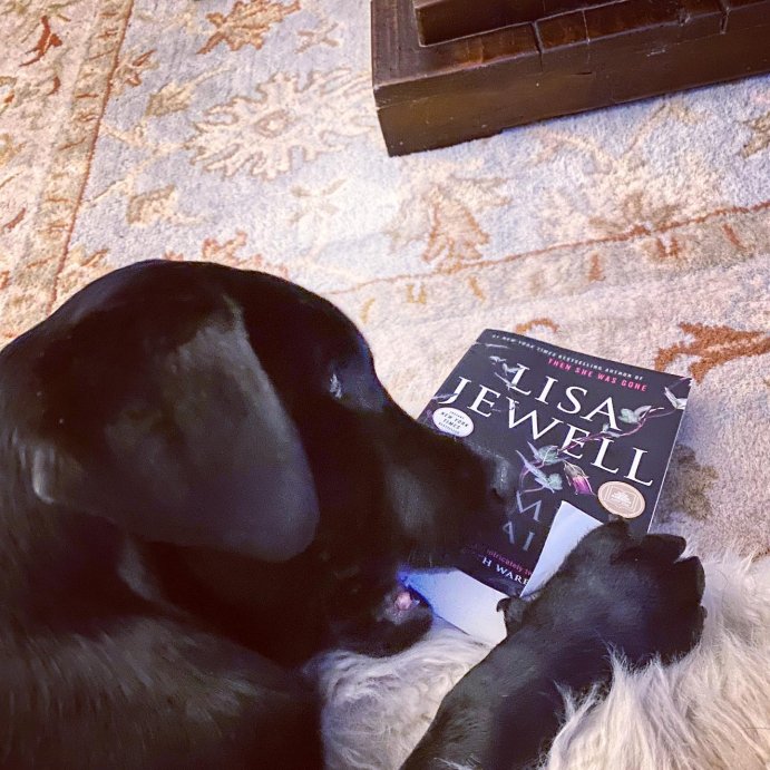 user image by @jennifer_quadrozzi, The Family Upstairs - by Lisa Jewell
